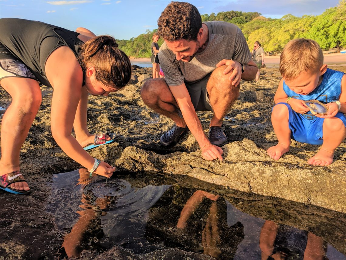 children and teacher searching tide pools for sea creatures