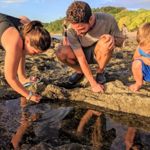 children and teacher searching tide pools for sea creatures
