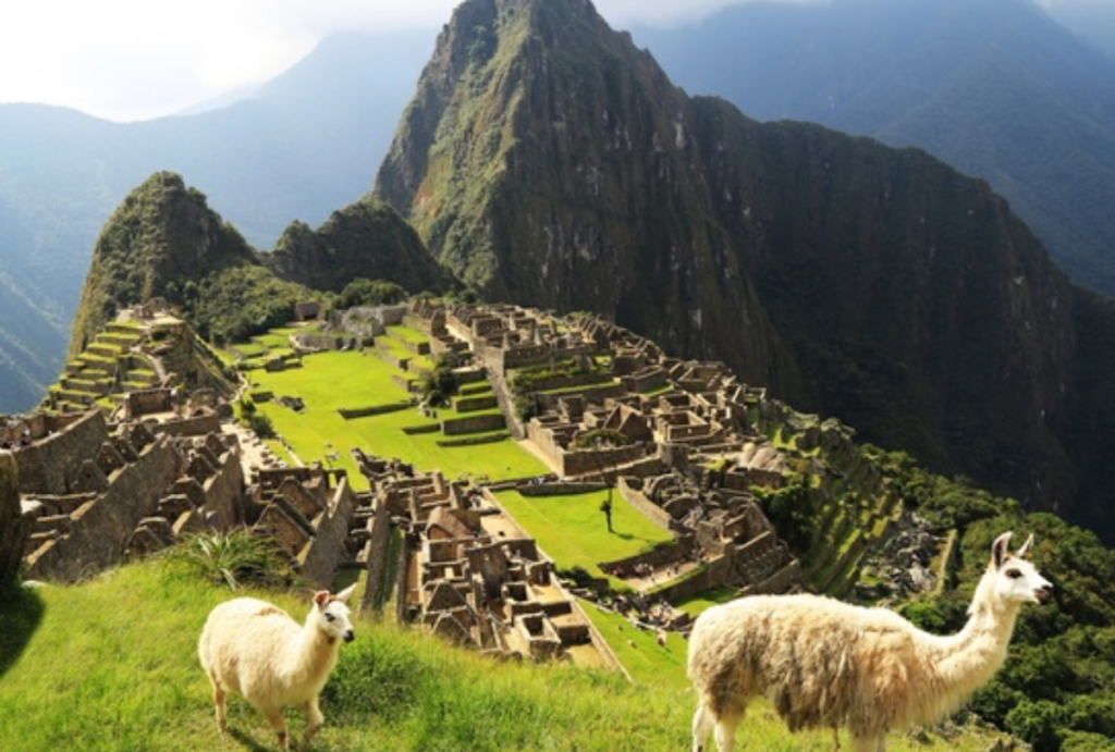 view of mountains around Machu Pichu and alpacas grazing in foreground